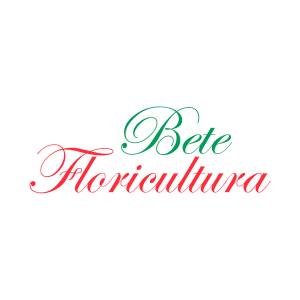 Bete Floricultura