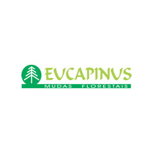 Eucapinus - Mudas Florestais